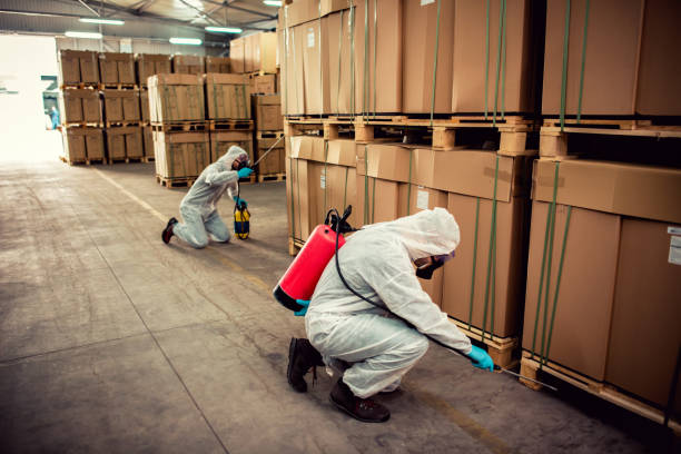 Trusted Arcadia, LA Pest Control Experts