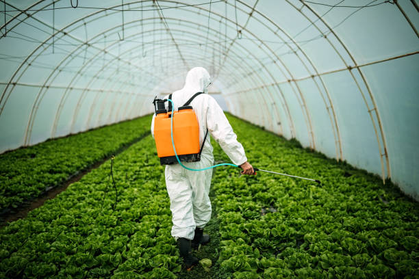 Best Residential Pest Control  in Arcadia, LA