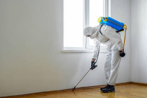 Best Wasp Removal Services  in Arcadia, LA