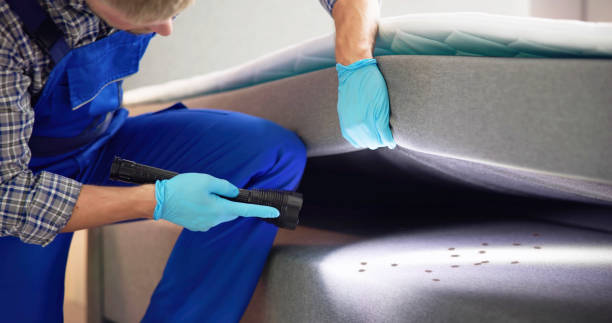 Wasp Removal Services in Arcadia, LA