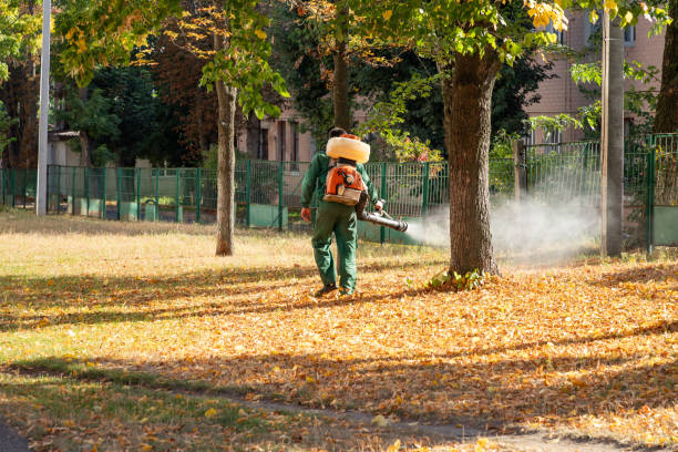 Best Commercial Pest Control Services  in Arcadia, LA