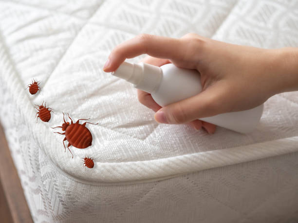 Pest Control for Restaurants in Arcadia, LA
